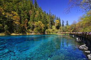 川西仙境探秘 成都、九寨沟、黄龙、乐山、峨眉山8日7晚深度跟团游