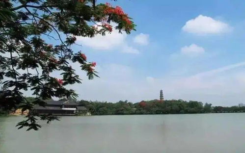 新春登高祈福首选 399元享罗浮山凯宾利世御酒店亲子度假套餐，尽揽名胜风光与侏罗纪奇趣