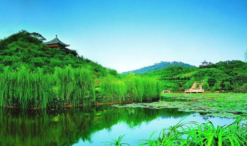 99元畅游西樵山一日游 含特产惊喜，尽览名胜风光